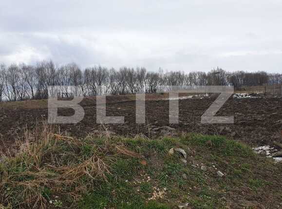 Teren de vânzare Stupini - 62128TV | BLITZ Brașov | Poza1