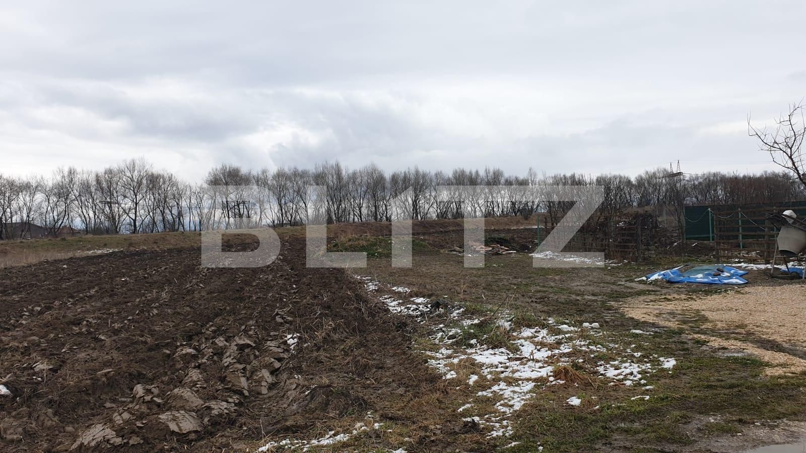 Teren de vânzare Stupini - 62128TV | BLITZ Brașov | Poza3