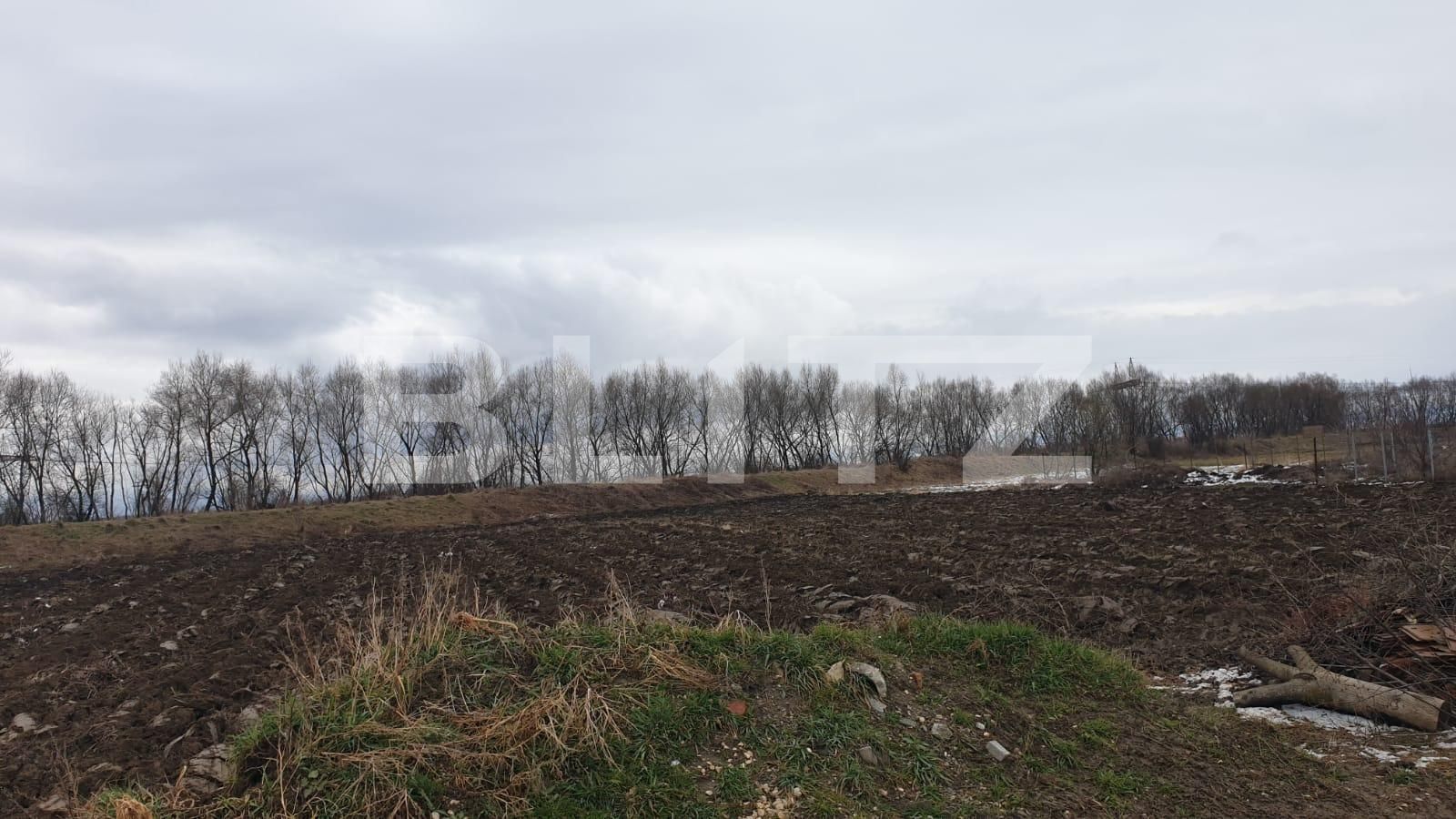 Teren de vânzare Stupini - 62128TV | BLITZ Brașov | Poza2