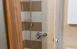 Apartament 1 camera, 21 mp, decomandat, zona strazii Detunata