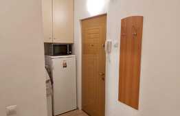 Apartament 1 camera, 21 mp, decomandat, zona strazii Detunata