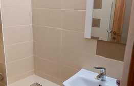 Apartament 1 camera, 21 mp, decomandat, zona strazii Detunata