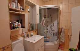 1 camera, luminos, orientare sudica, parcare, zona Eroilor