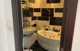 Apartament mobilat modern, 2 camere, 60 mp, zona Casa Vikingilor