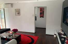 Apartament mobilat modern, 2 camere, 60 mp, zona Casa Vikingilor