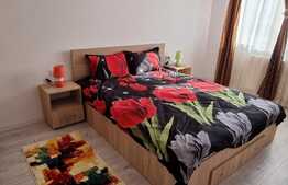 Apartament Pet Friendly, 2 camere decomandat, 60 mp, mobilat utilat, boxă și parcare, zona Coresi Avantgarden!