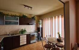 Apartament spatios, 6 camere, 3 bai, 3 balcoane, zona linistita cu panorama!