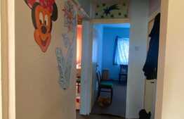 Apartament 3 camere, decomandat, zona Lidl!