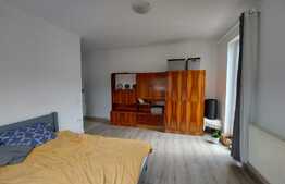 1 camera, decomandat, luminos, 37 mp, zona Porii 