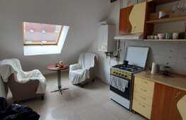 1 camera, decomandat, luminos, 37 mp, zona Porii 