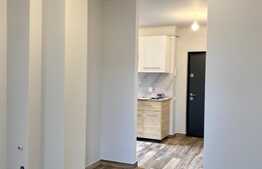 2 camere decomandate, prima inchiriere, parcare, nemobilat, zona Campuluii