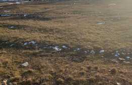 Teren extravilan, Sanpetru