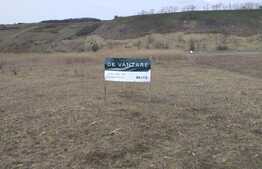 Investitie ! Teren intravilan 9605 mp , centura Cluj Apahida ! 