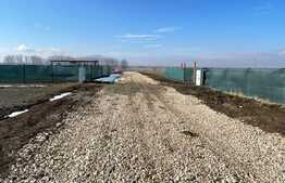 Loturi de casa cu PUZ, Sanpetru