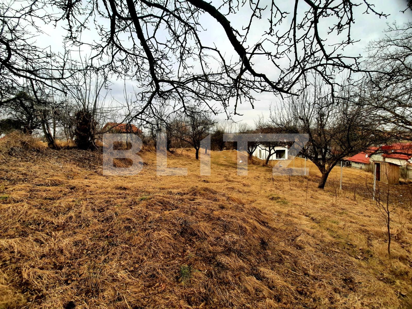 Teren de vânzare Feleacu - 62222TV | BLITZ Cluj-Napoca | Poza4