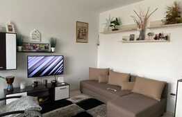 Apartament 2 camere, mobilat si utilat modern, zona linistita, aproape de padure!