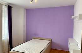 2 camere, 50 mp, zona strazii Septimiu Albini, Gheogheni 