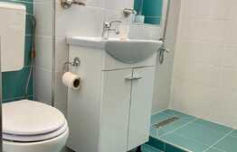 2 camere, 50 mp, zona strazii Septimiu Albini, Gheogheni 