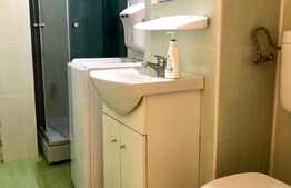 1 camera, decomandat, 28 mp, pet friendly, zona Titulescu