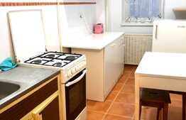 1 camera, decomandat, 28 mp, pet friendly, zona Titulescu