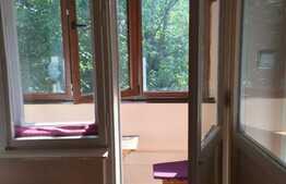 Garsoniera, 28 mp, zona Parcului Detunata, cartier Gheorgheni