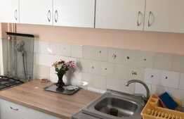 Garsoniera, 28 mp, zona Parcului Detunata, cartier Gheorgheni