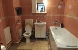 Apartament 2 camere, 50mp, mobilat, utilat, zona Craiter!