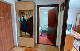 2 camere, 45 mp., parcare, zona Lidl