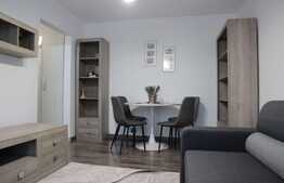 Garsoniera de inchiriat, 30 mp, zona Plopilor