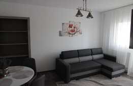 Garsoniera de inchiriat, 30 mp, zona Plopilor