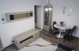 Garsoniera de inchiriat, 30 mp, zona Plopilor