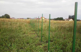 Teren intravilan 600mp, Stupini