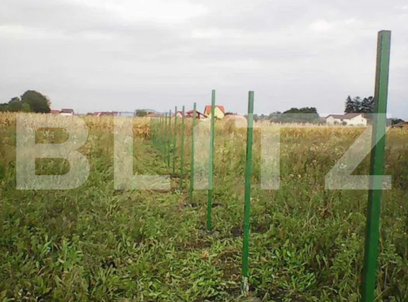 Teren de vânzare Stupini - 62309TV | BLITZ Brașov | Poza2