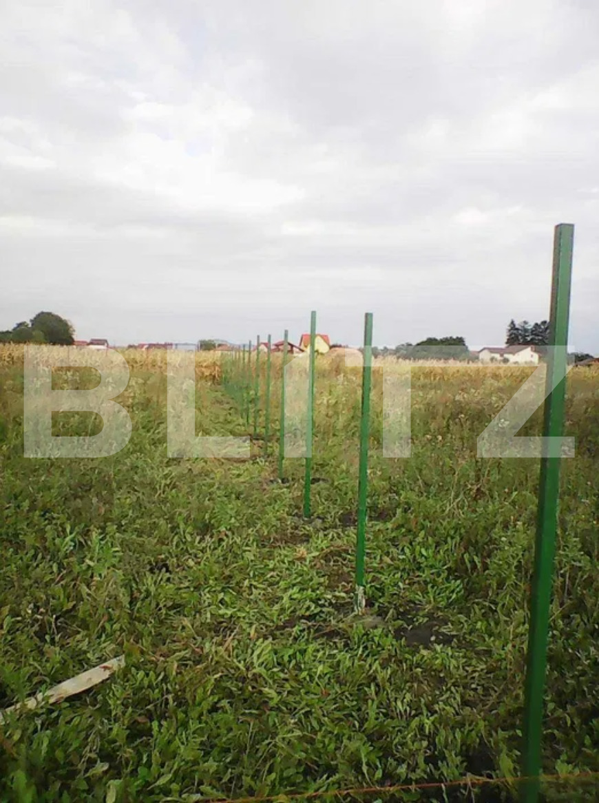 Teren de vânzare Stupini - 62309TV | BLITZ Brașov | Poza2