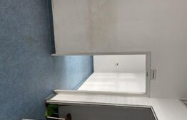 Spatiu comercial stradal, 140 mp, zona Dorobantilor