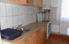 2 camere, 48 mp, mobilat dragut, zona Iulius Mall