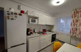 2 camere, decomandat, modern/lux, 56 mp., zona Lidl