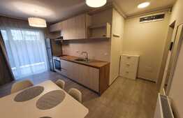 1 camera plus nisa de dormit, parcare, gradina, zona Iulius Mall