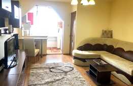 1 camera, 29 mp, pet friendly, zona strazii Brancusi