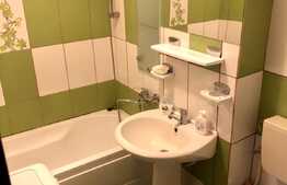 1 camera, 29 mp, pet friendly, zona strazii Brancusi