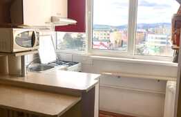 1 camera, 29 mp, pet friendly, zona strazii Brancusi