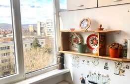 1 camera, 29 mp, pet friendly, zona strazii Brancusi