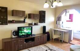 1 camera, 29 mp, pet friendly, zona strazii Brancusi