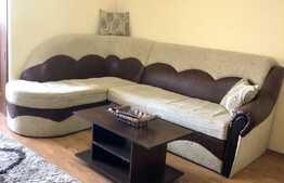 1 camera, 29 mp, pet friendly, zona strazii Brancusi