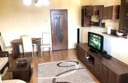 1 camera, 29 mp, pet friendly, zona strazii Brancusi