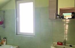 Casa individuala pe structura metalica , 300 teren, garaj, zona Manastirii - Tauti 