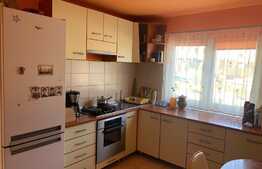 Casa individuala pe structura metalica , 300 teren, garaj, zona Manastirii - Tauti 