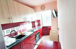 Apartament cu 2 camere, Decomandat, 45 mp, cu parcare, zona strazii Mehedinti