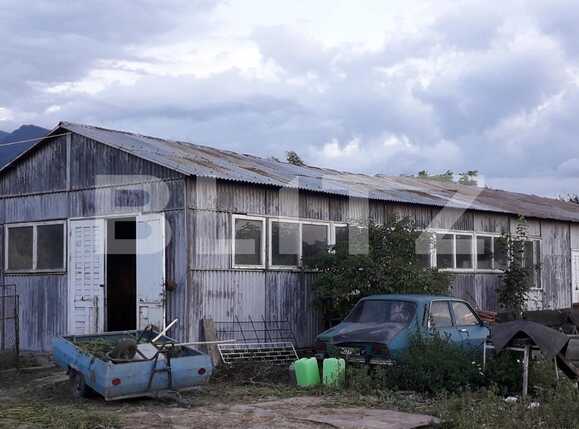 Spațiu industrial de închiriat Exterior Est - 62466SII | BLITZ Brașov | Poza3