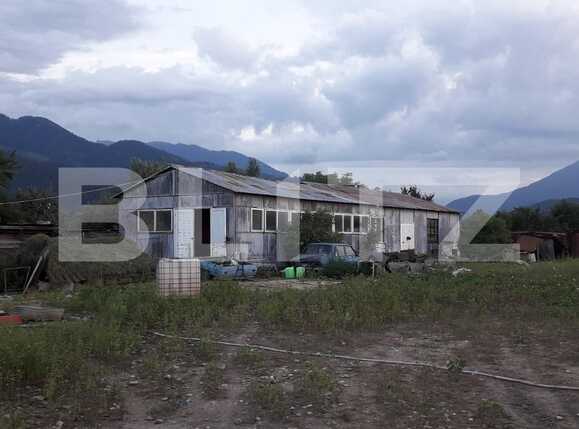 Spațiu industrial de închiriat Exterior Est - 62466SII | BLITZ Brașov | Poza1